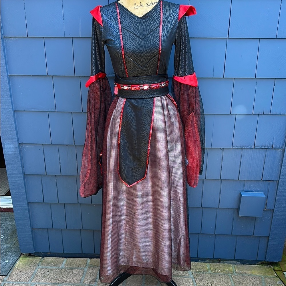 🖤♥️🖤Chasing Fireflies costume medium 12 runs small Wishcraft